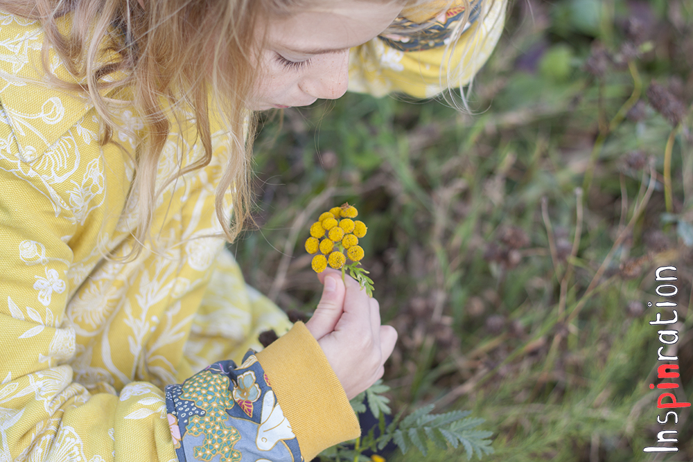 Inspinration to Twig and Tale blog tour