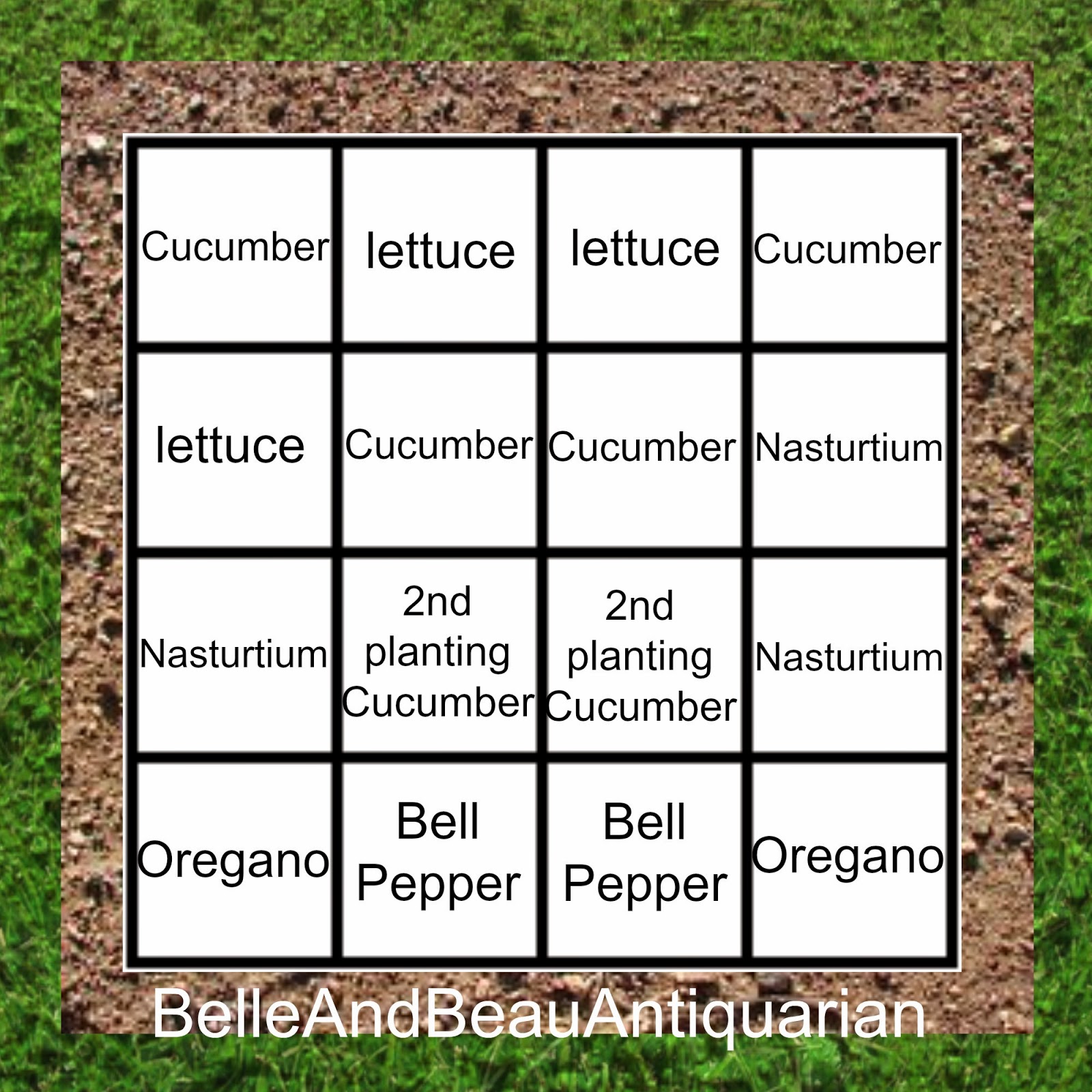 Belle & Beau Antiquarian Square Foot Garden Plans for 4 x 4 Beds