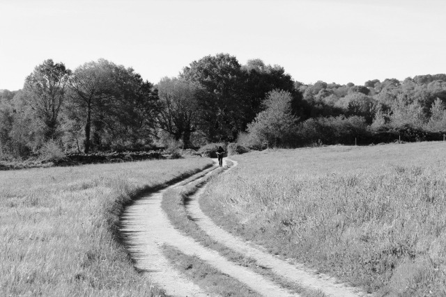 foto de senda en camino de santiago frances