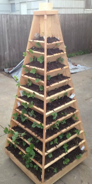 Pirámide vertical para plantar fresas Pirámide vertical para plantar fresas