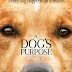 A Dog's Purpose (2017) Bluray 720p