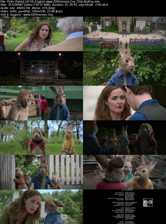 Peter Rabbit (2018) English 720p BluRay