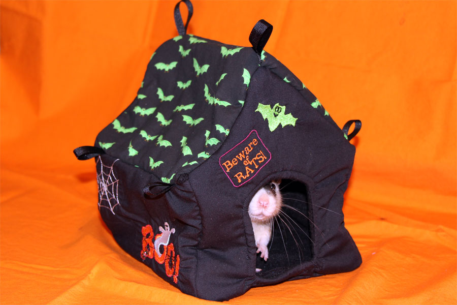 Ratropolis: New Hammock Added to Rat Hammock Tutorials: The House