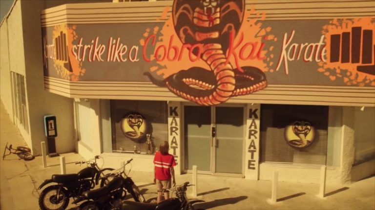 Cobra Kai: Cobra Kai: