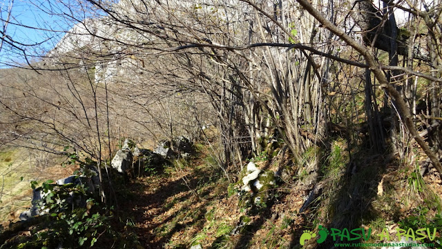 Sendero a Puru Cabreru con algo de vegetación