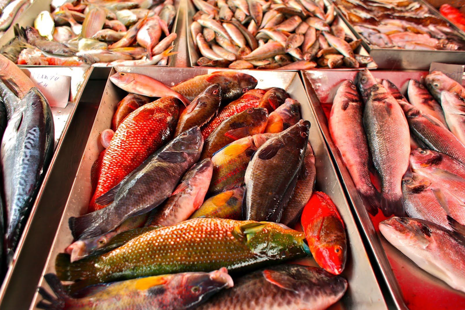 Seven Insider Tips for Shopping at the Fish Market Medium Blog
