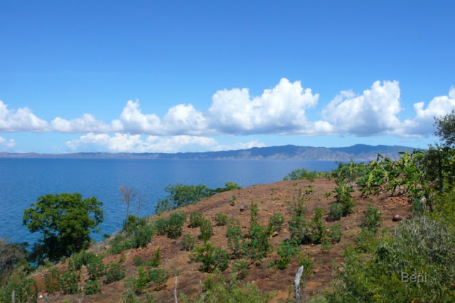 golfo de cariaco en venezuelas