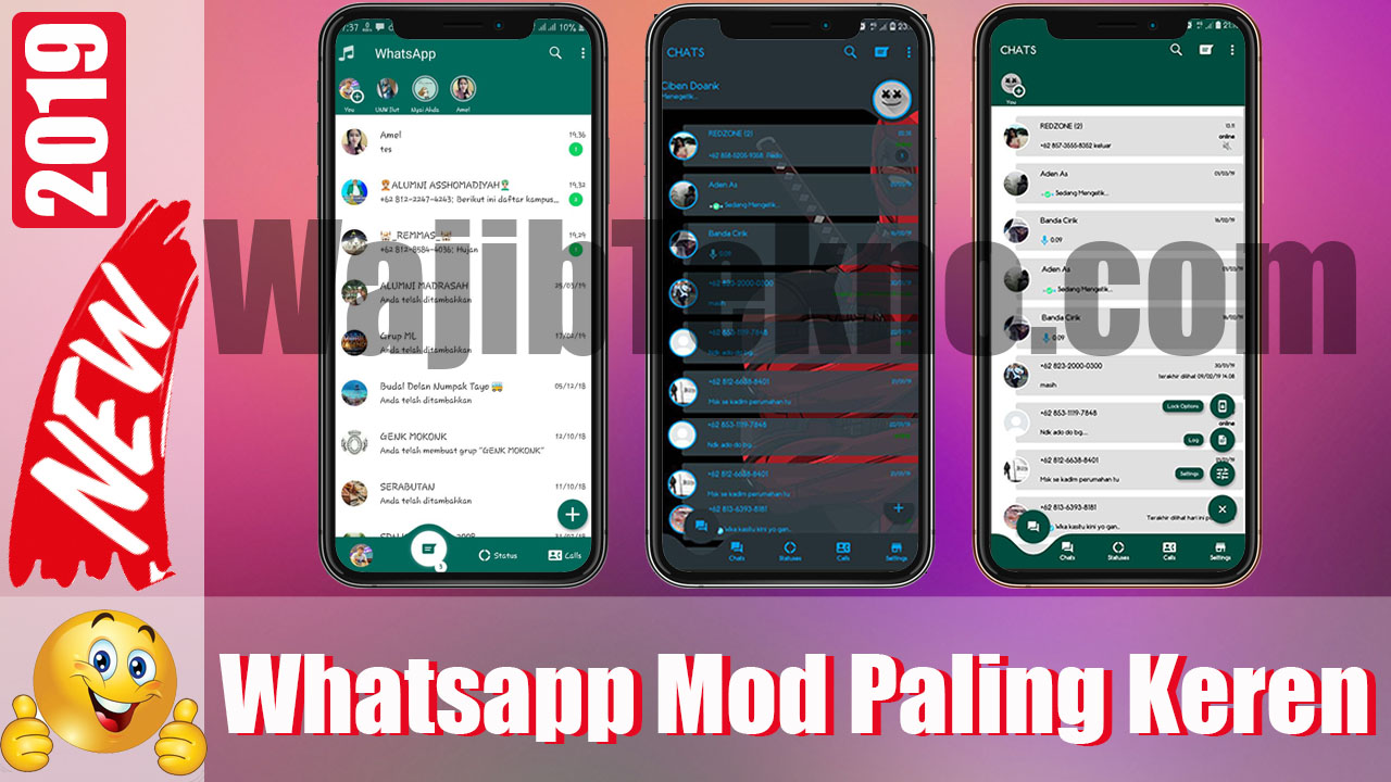 y1 whatsapp