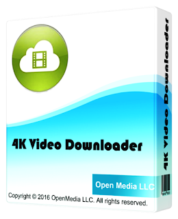 4Videosoft Video Downloader Portable