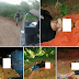 DUPLO HOMICÍDIO NA ZONA RURAL DE CUITÉ, DOIS JOVENS SÃO ENCONTRADOS MORTOS, AMORDAÇADOS E AMARRADO NA LADEIRA DO IMBÉ.