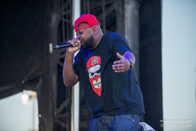 Ghostface Killah at NXNE 2016 at The Portlands in Toronto June 17, 2016 Photo by Roy Cohen for One In Ten Words oneintenwords.com toronto indie alternative live music blog concert photography pictures