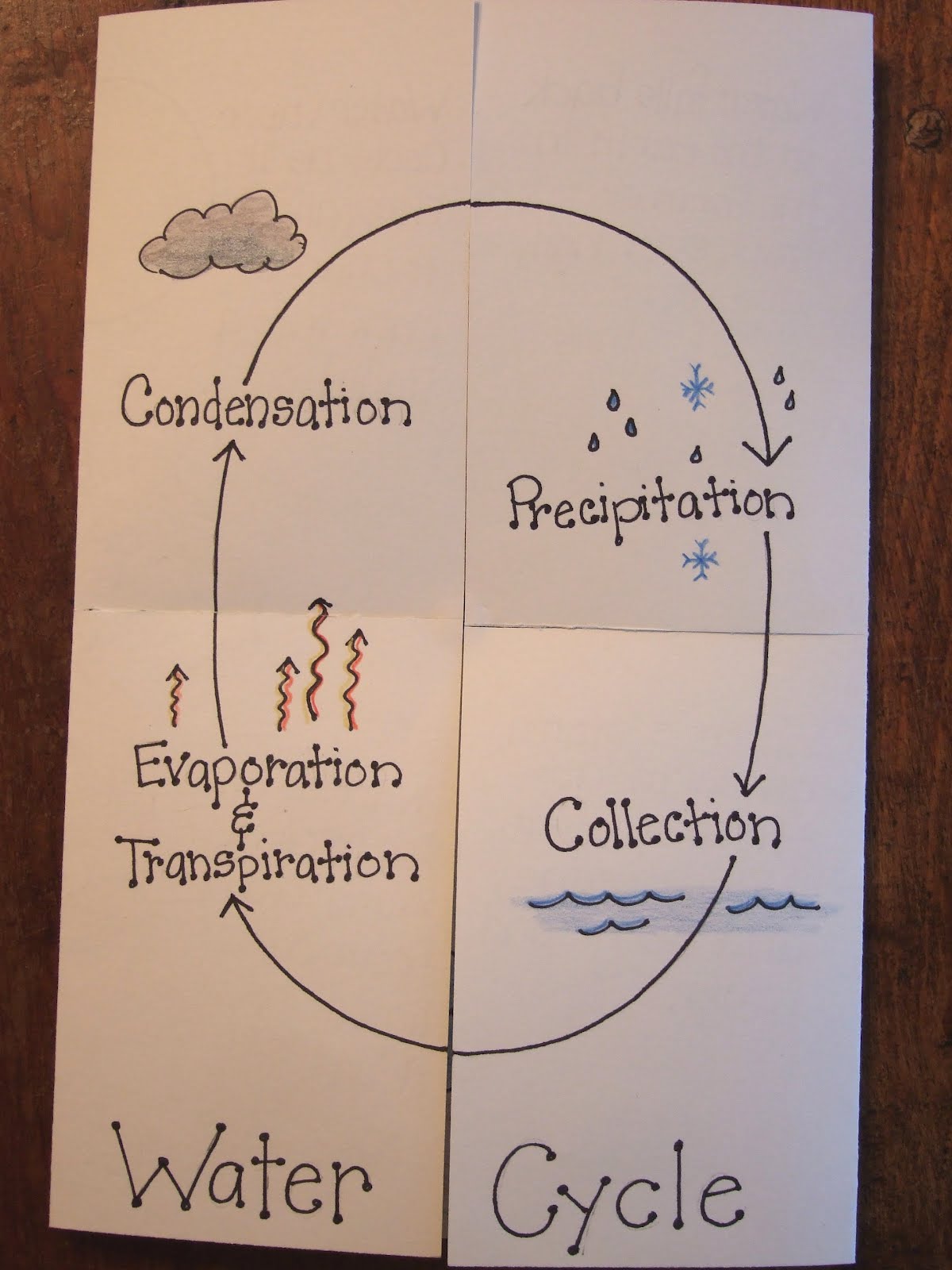 Water Cycle 5th Grade Water Cycle Grade Wasserkreisla - vrogue.co