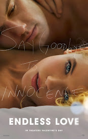 Watch Movies Endless Love (2014) Full Free Online
