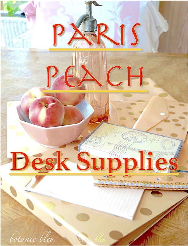 Botanic Bleu Paris Peach Desk Supplies