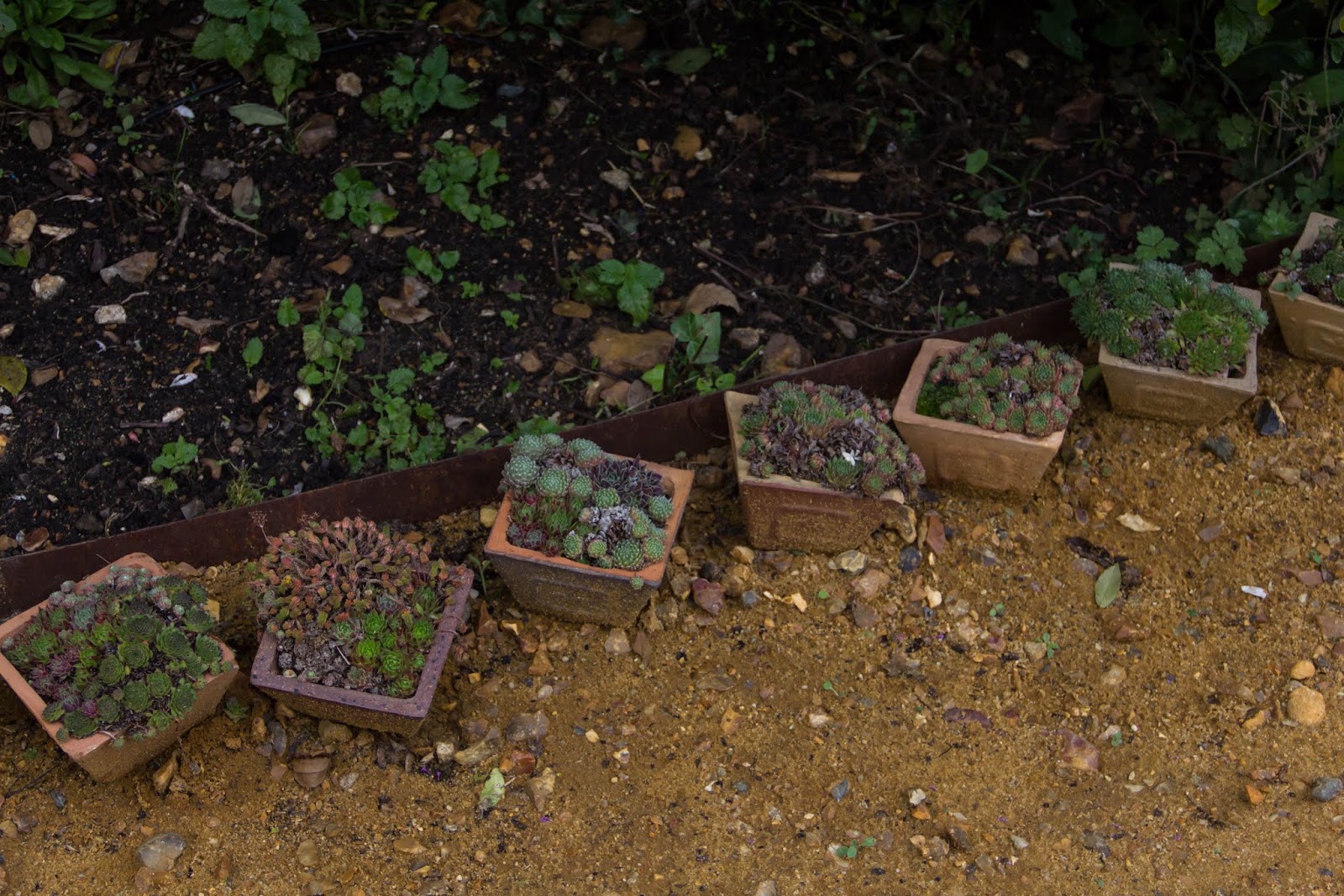 Frau am Werk: GARTENFIEBER