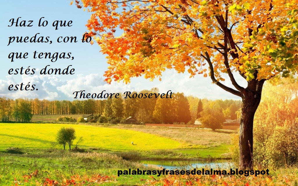 Haz Lo Que Puedas Con Lo Que Tengas palabrasyfrasesdelalma.blogspot.com