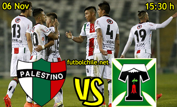 Ver stream hd youtube facebook movil android ios iphone table ipad windows mac linux resultado en vivo, online: Palestino vs Deportes Temuco