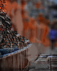 picsart editing cb background edit edits dynamo tutorial