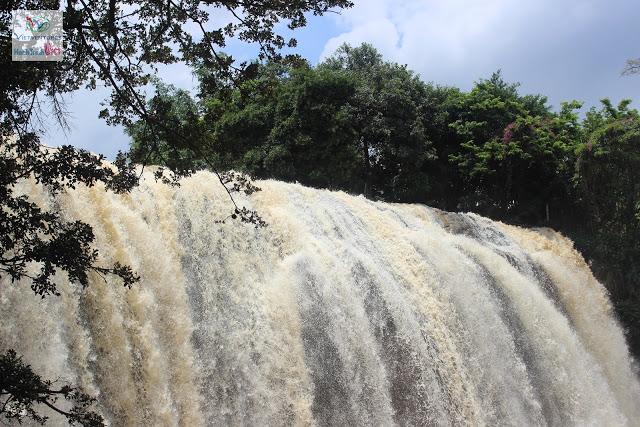 Découverte la cascade d'Eléphant à Dalat