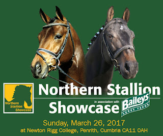 Northern Stallion Showcase