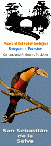 Visite el corredor biológico Uruguaí-Foerster