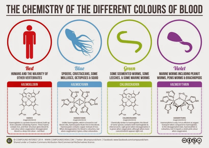 Compound interest: haemoglobin, haemocyanin, chlorocruorin, haemerythrin