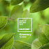 Greenery é a cor de 2017