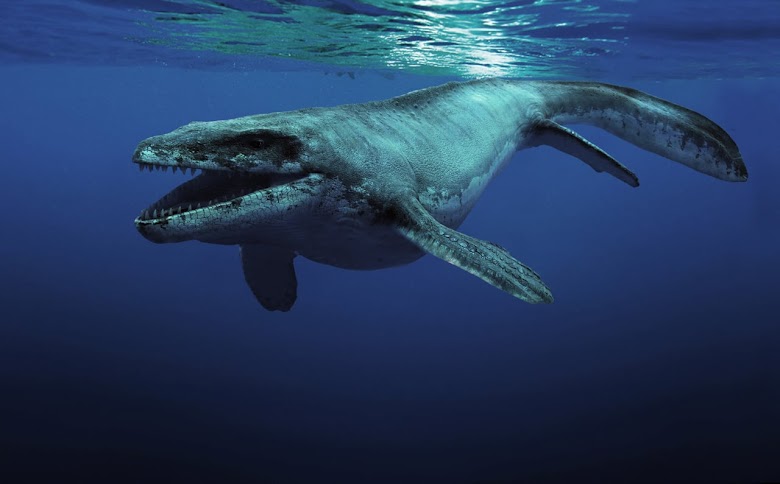 imax sea rex 3d download torrent