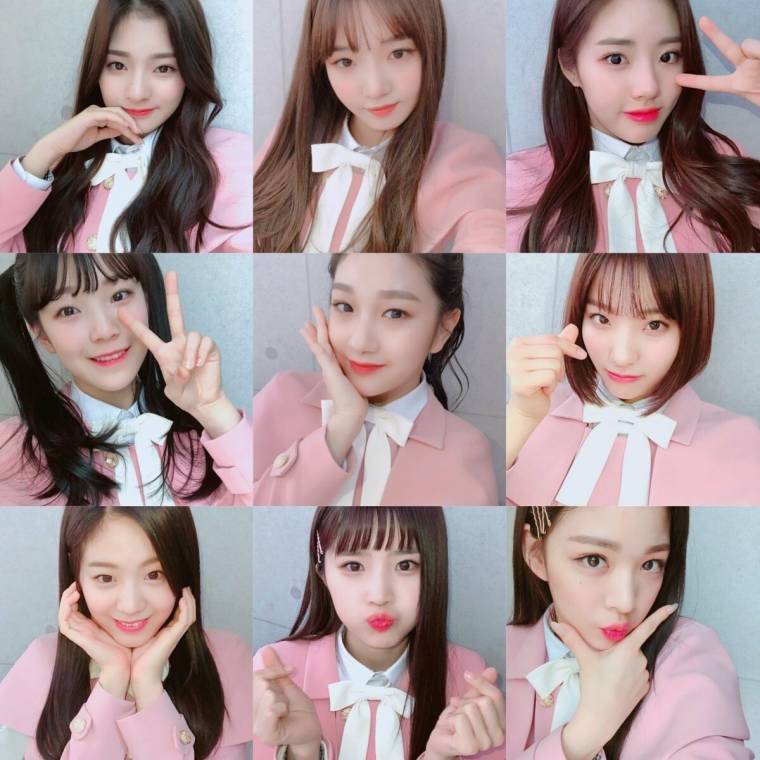 단체샷 프로미스나인