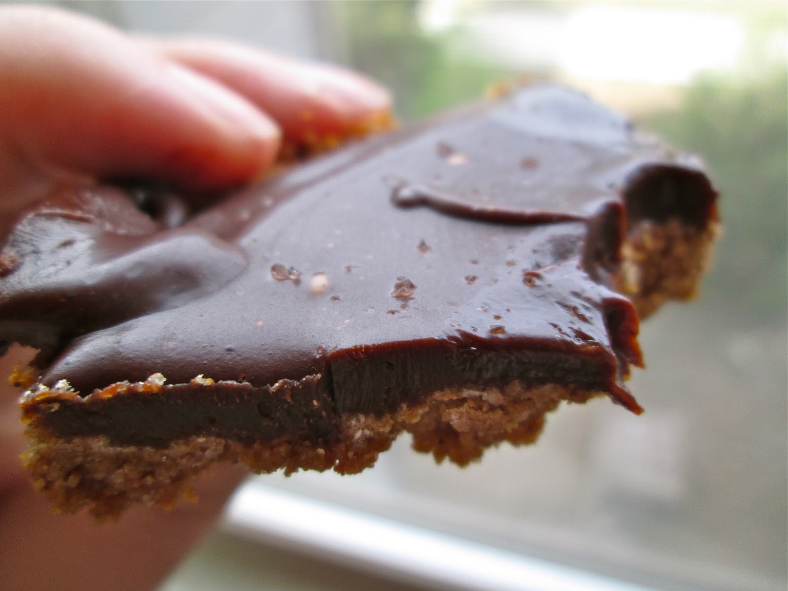 Your Girl for all Seasonings Chocolate Ganache Bar on Chocolate Graham Cracker Crust GYCO
