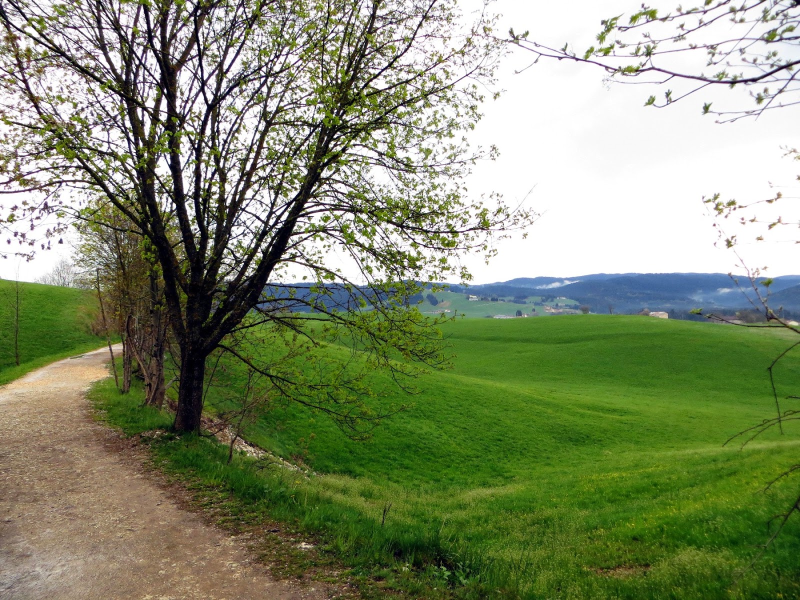 strada del vecchio trenino passeggiata asiago