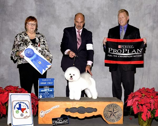 DOG SHOW POOP: 2014-03-02