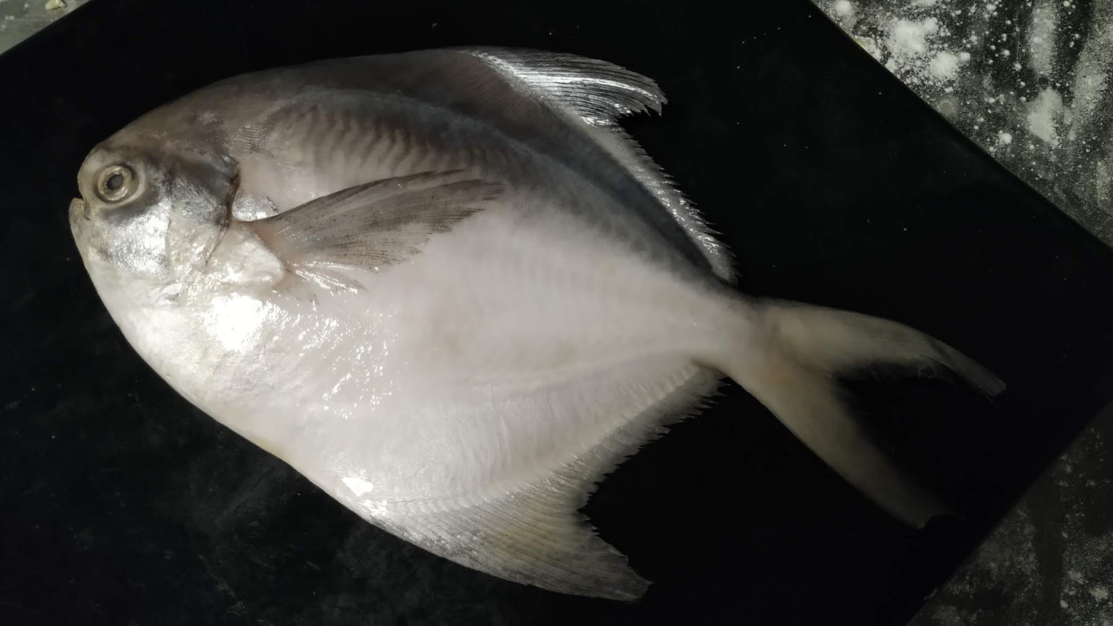 How to make Tandoori Pomfret Food Recipe hassanchef restaurant style