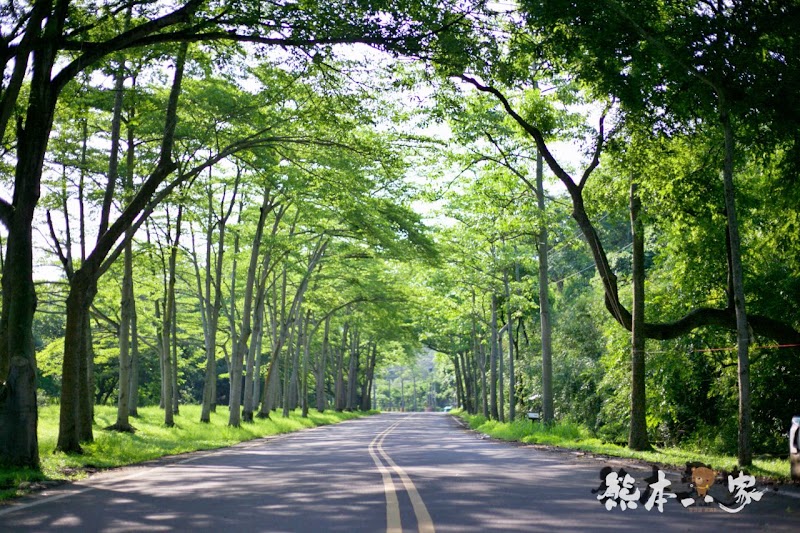 苗栗飛牛牧場|飛牛廣場、牧場工房、庭園木屋、牧場原憩、童玩區|園區環境