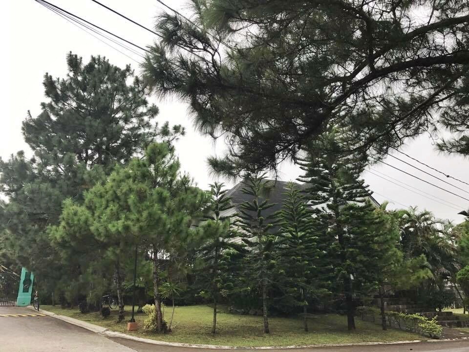 Royal Pines, Highgrove, Tagaytay Margareth Ann