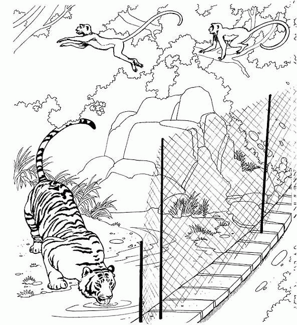 a to z animals coloring pages - photo #33