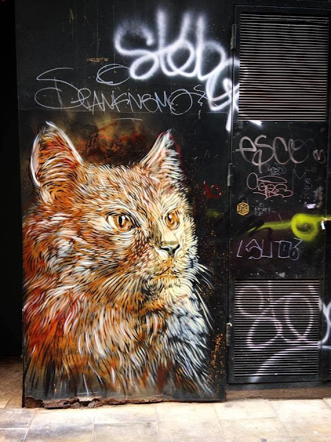 Parisian Stencil Artist C215 returns to Barcelona with a new series of Street Art Pieces. 1