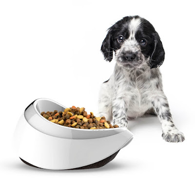 Puppy-staring-at-Petble-Smart-Bowl-full-of-kibble-pet-tech-gift-idea