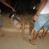 NEGLIGÊNCIA NO TRÂNSITO PROVOCA GRAVE ACIDENTE NA BR 135 EM BARREIRAS