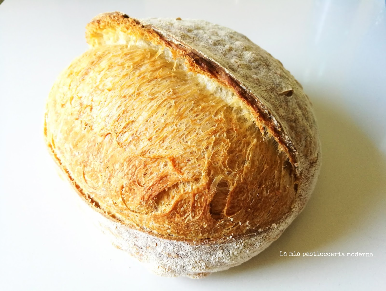 pane lievito di birra lunga lievitazione
