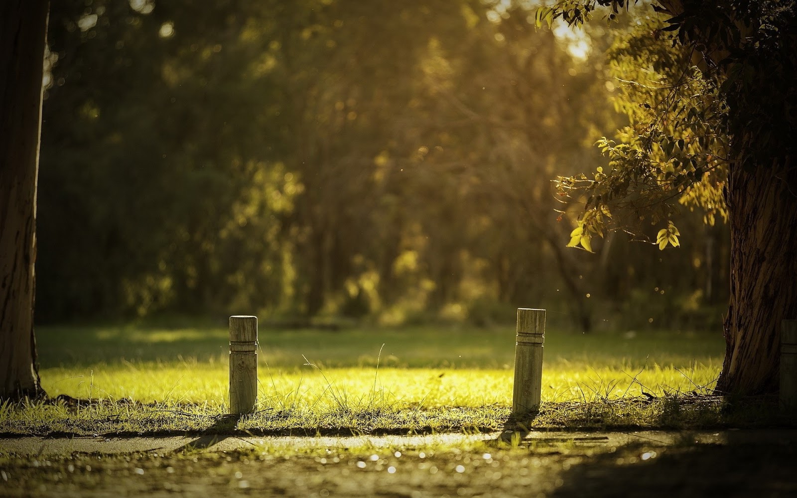 Relax Wallpapers Relax Wallpapers