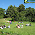 Parque Jorge Alessandri