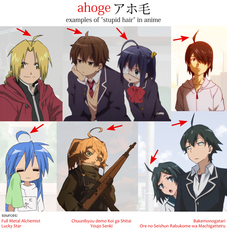 Examples of ahoge in anime or "stupid hair" in Full Metal Alchemist, Chuunibyou demo Koi ga Shitai, Bakemonogatari, Lucky Star, Youjo Senki, and Ore no Seishun Rabukome wa Machigatteiru