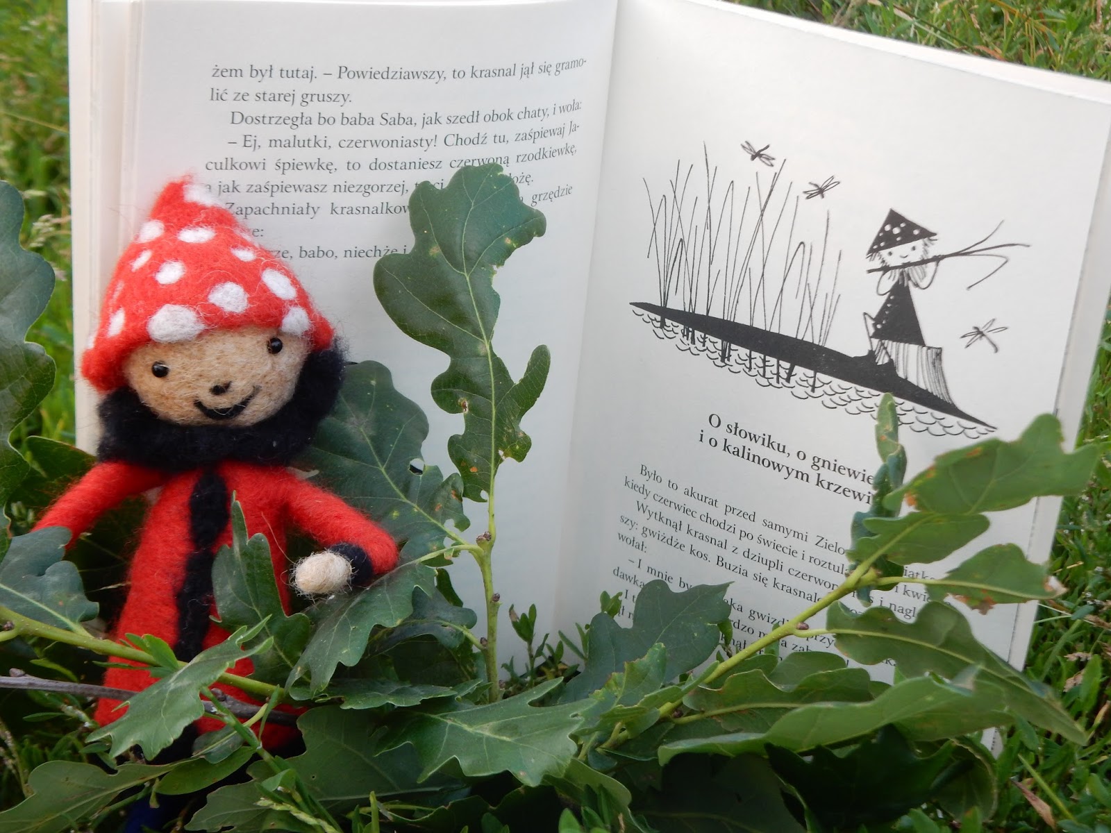 Lucyna Krzemieniecka Jak Się Krasnal Z Sójkami Za Morze Wybierał Play and learn... Wczesna edukacja Mikołaja, Filipa i Kacpra: Kultowi