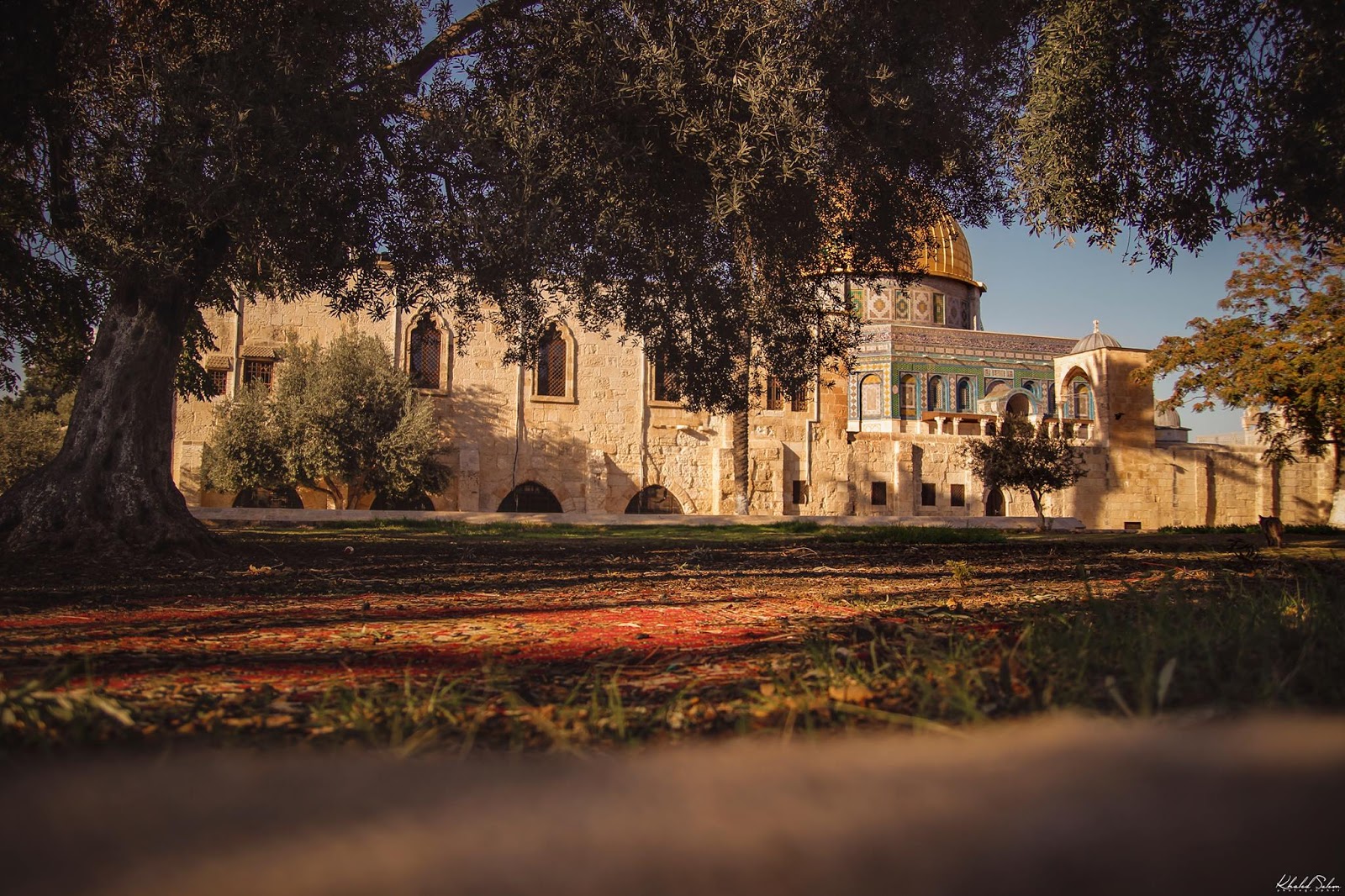 Photos of Jerusalem Dome of the Rock