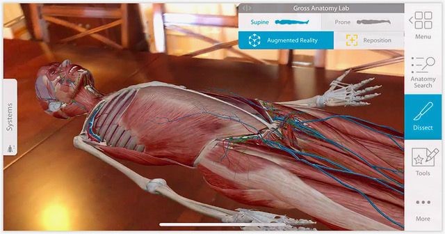 human anatomy atlas app