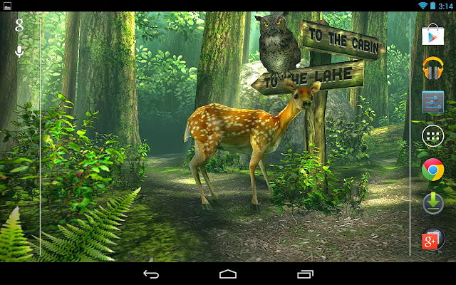 Forest HD Live Wallpapers for Android Apk Free Download