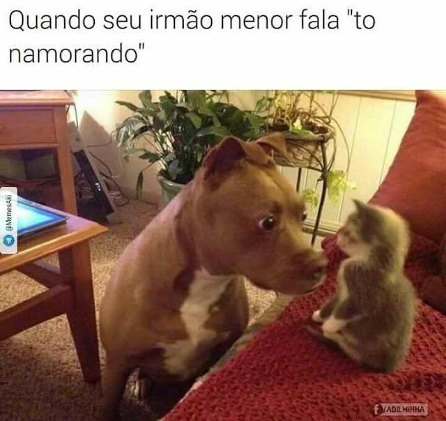 Memes engraçados Memes engraçados