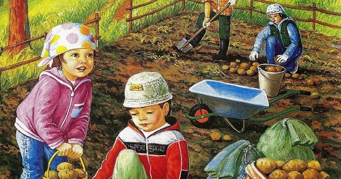 Осенний сбор урожая. Сбор урожая для детей. Осенний огород. Сюжетные картины.