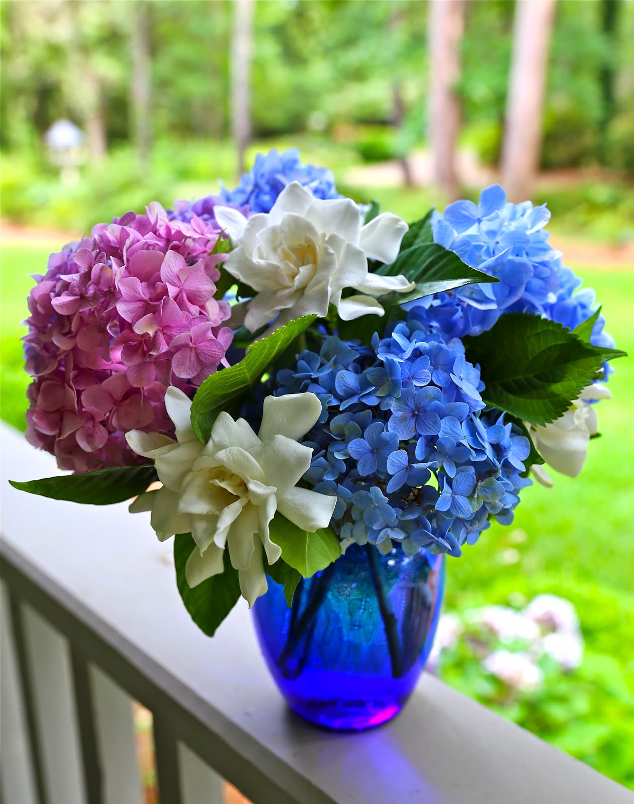 Sweet Southern Days: The Hydrangeas and Gardenias Are Blooming